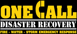 Return to One Call Disaster Recovery home page